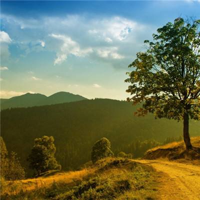 助赢软件app下载